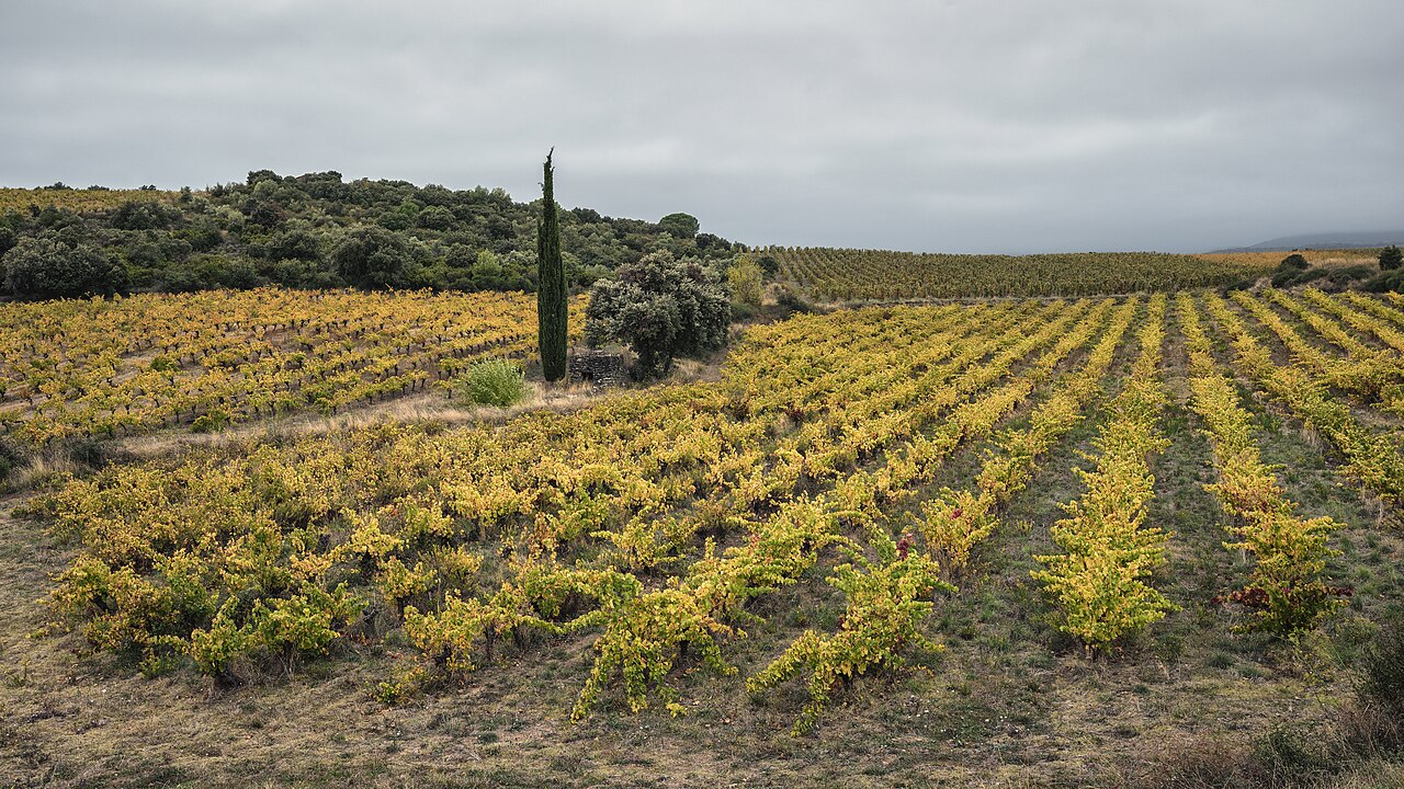 Rolling hills and terraced vineyards in Southern Europe